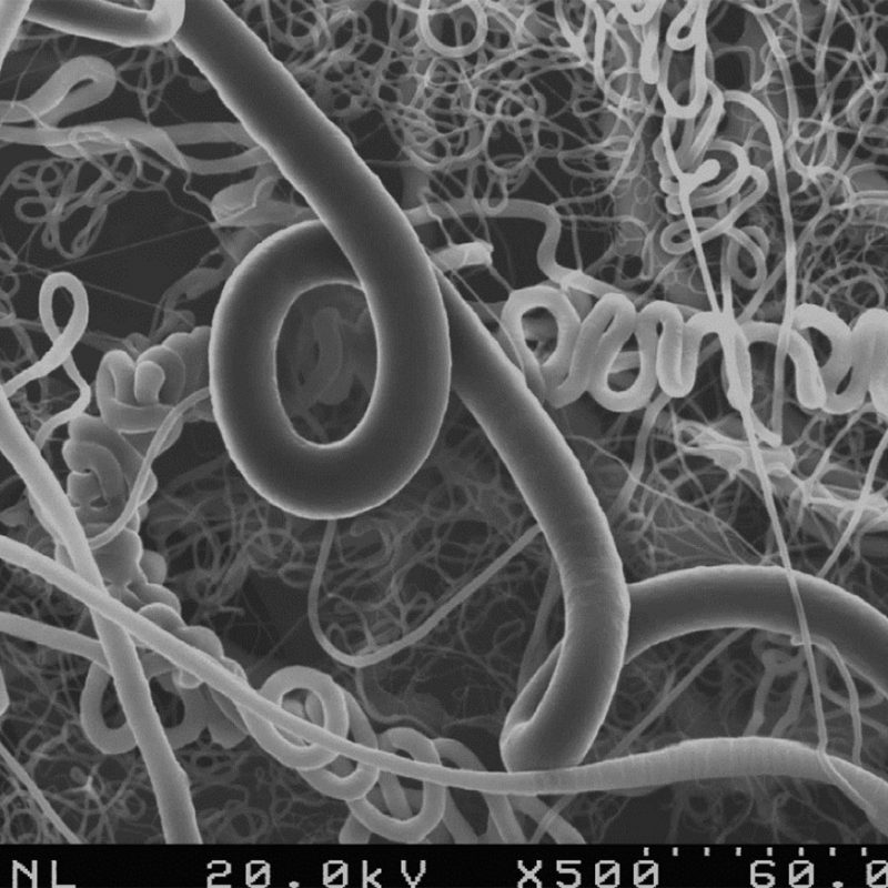 Most Bizarre Micrograph - Jessica M. Andriolo - Montana Tech Nanotechnology Laboratory 
