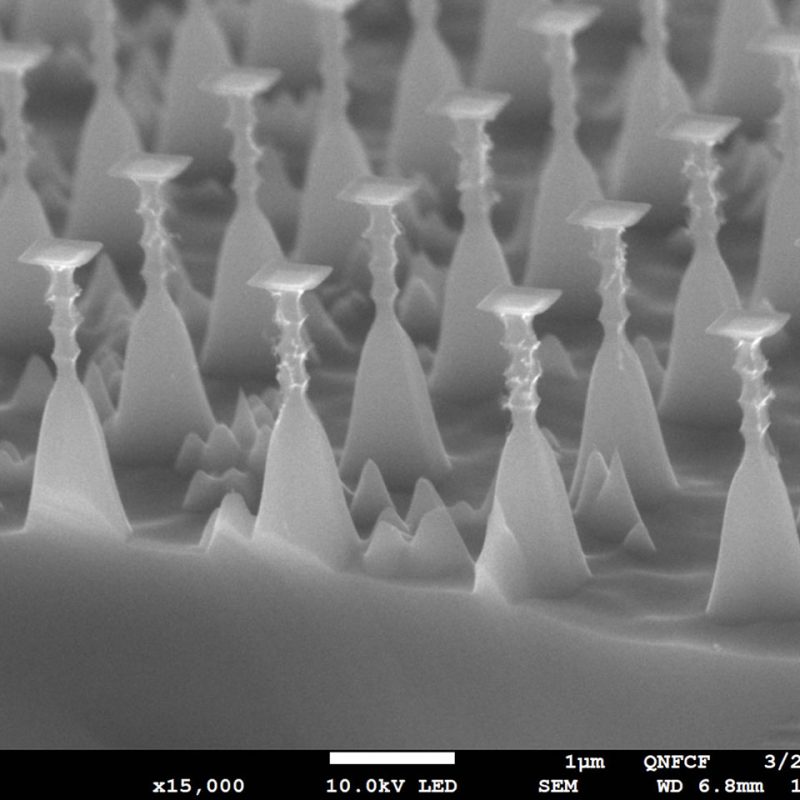 Best Electron Micrograph - Huseyin Ekinci - University of Waterloo