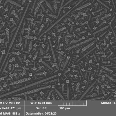 Best Electron Micrograph - Xavier Vorhies, Montana Tech Nanotechnology Laboratory