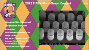 Ordered and straight silicon micropillars