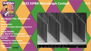 Wired Silicon fences