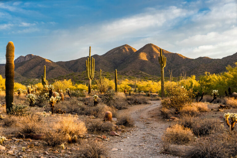 Desert landscape of Scottsdale Arizona
